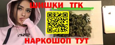 крисы Малгобек