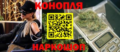 крисы Малгобек