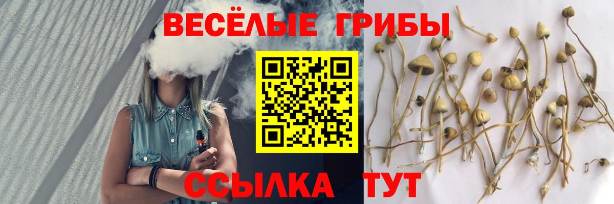 Псилоцибиновые грибы ЛСД Донской